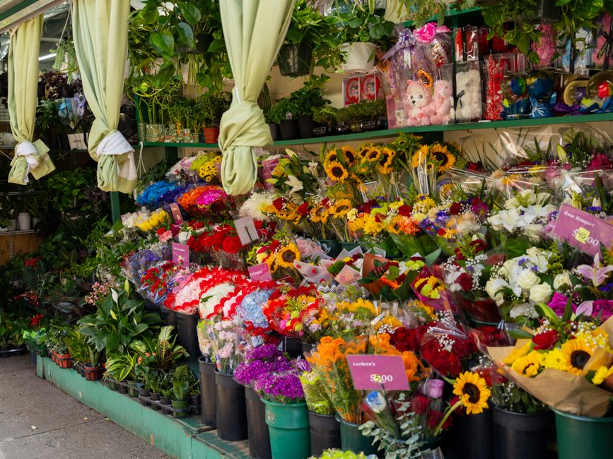 A vibrant floral display outside North Harrow Florist, featuring a variety of fresh flowers arranged in bouquets and individual arrangements. Sunflowers with bright yellow petals and dark centers are