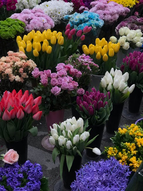A vibrant display of fresh flowers at a florist shop, featuring an assortment of tulips in red, white, pink, yellow, and purple, arranged in tall, elegant black vases. Surrounding the tulips are clust